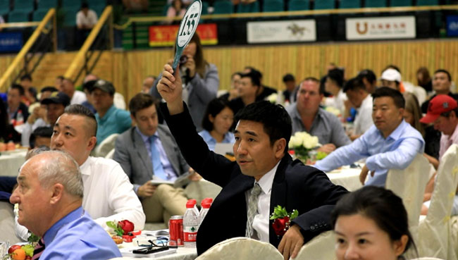 山西玉龍投資集團(tuán)有限公司